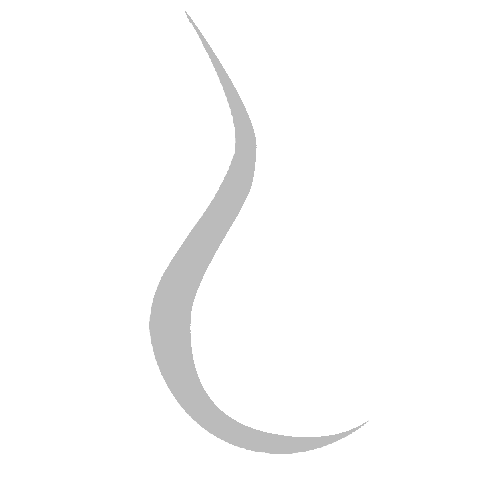 Roby Icon